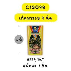 เกิดมารวย 9 นัด