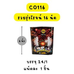 รวยรุ่งโรจน์ 16 นัด