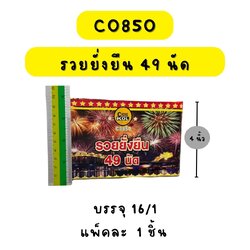 รวยยั่งยืน 49 นัด