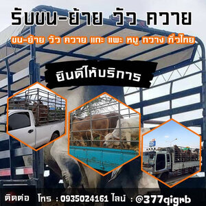 🚛 บริการรถขนวัวภาคอีสาน