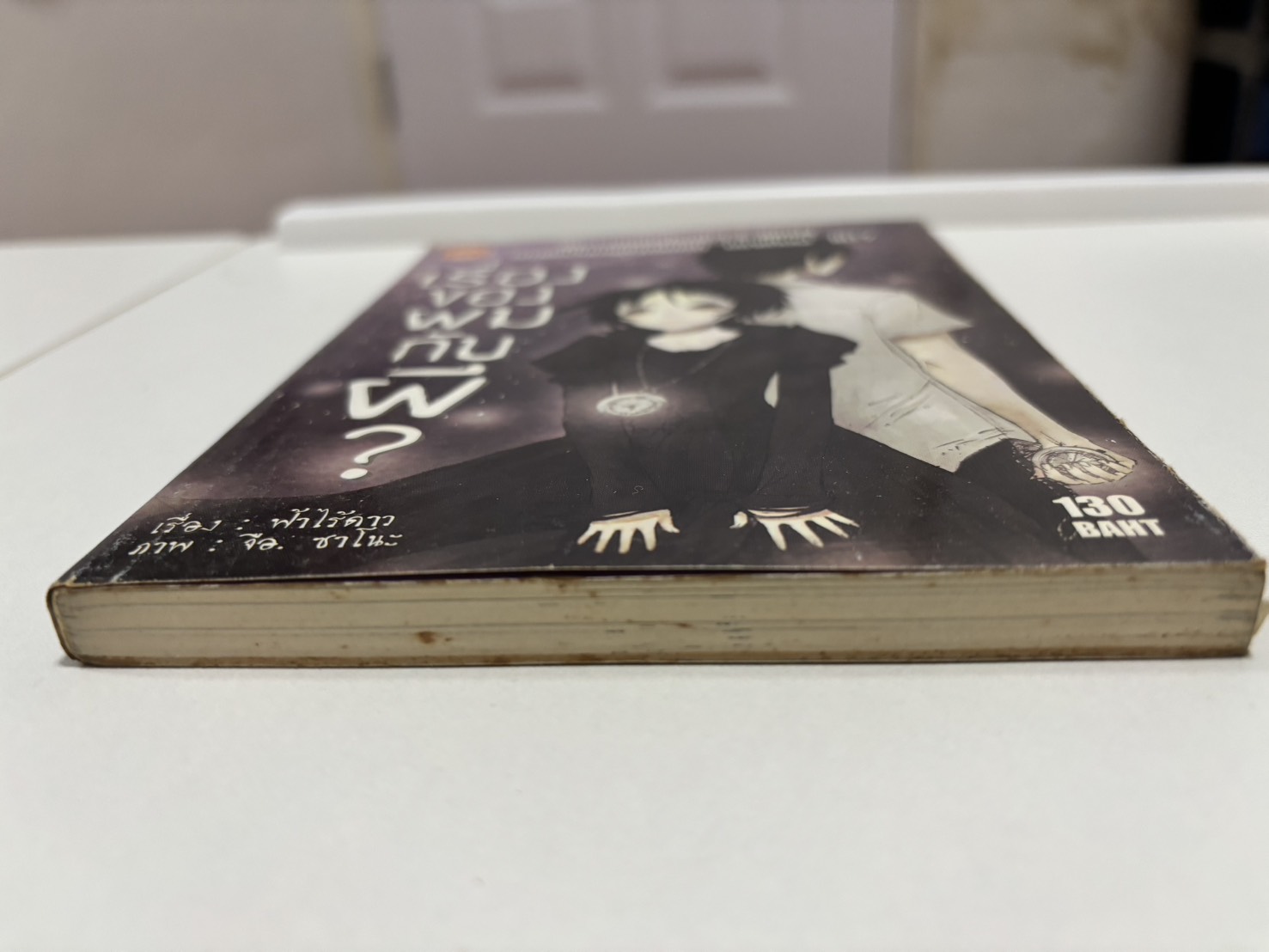 เรื่องของผมกับผี? เล่มเดียวจบ