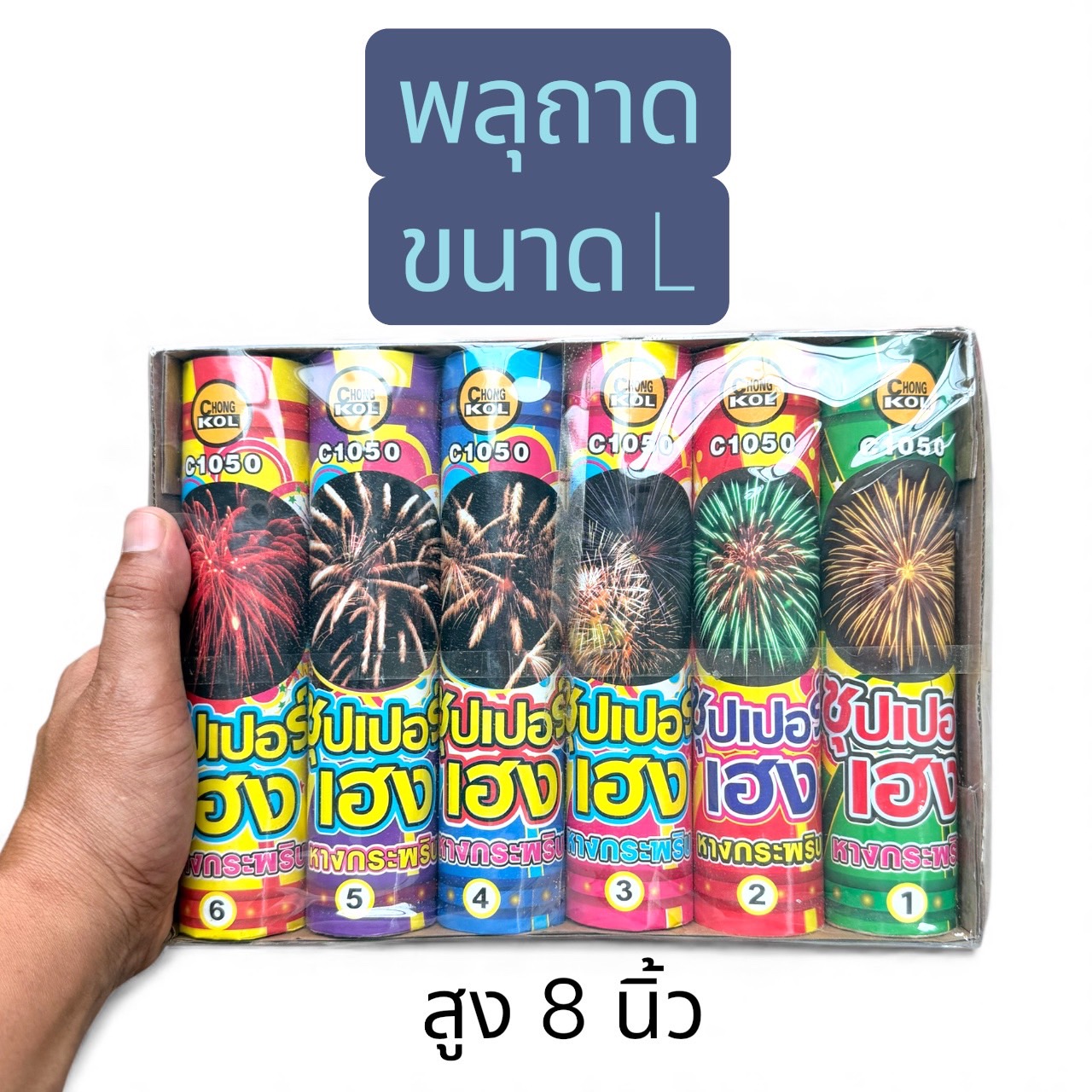พลุถาด ขนาด L