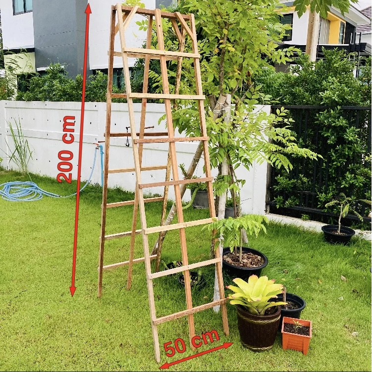 บันไดไม้เลื้อย สูง 200 cm (2 เมตร)