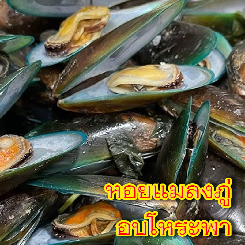 หอยแมลงภู่ อบโหระพา