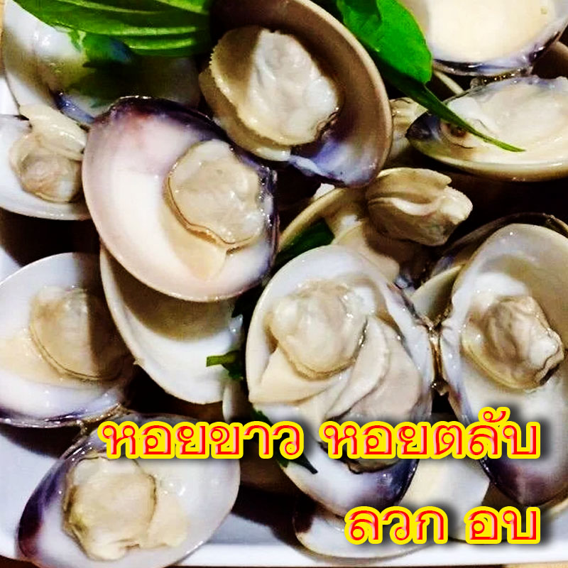 หอยขาว หอยตลับ ลวก อบ