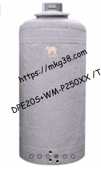 (DUO PACK) ถังคู่ปั๊ม รุ่น DPE20S+WM-P250XX