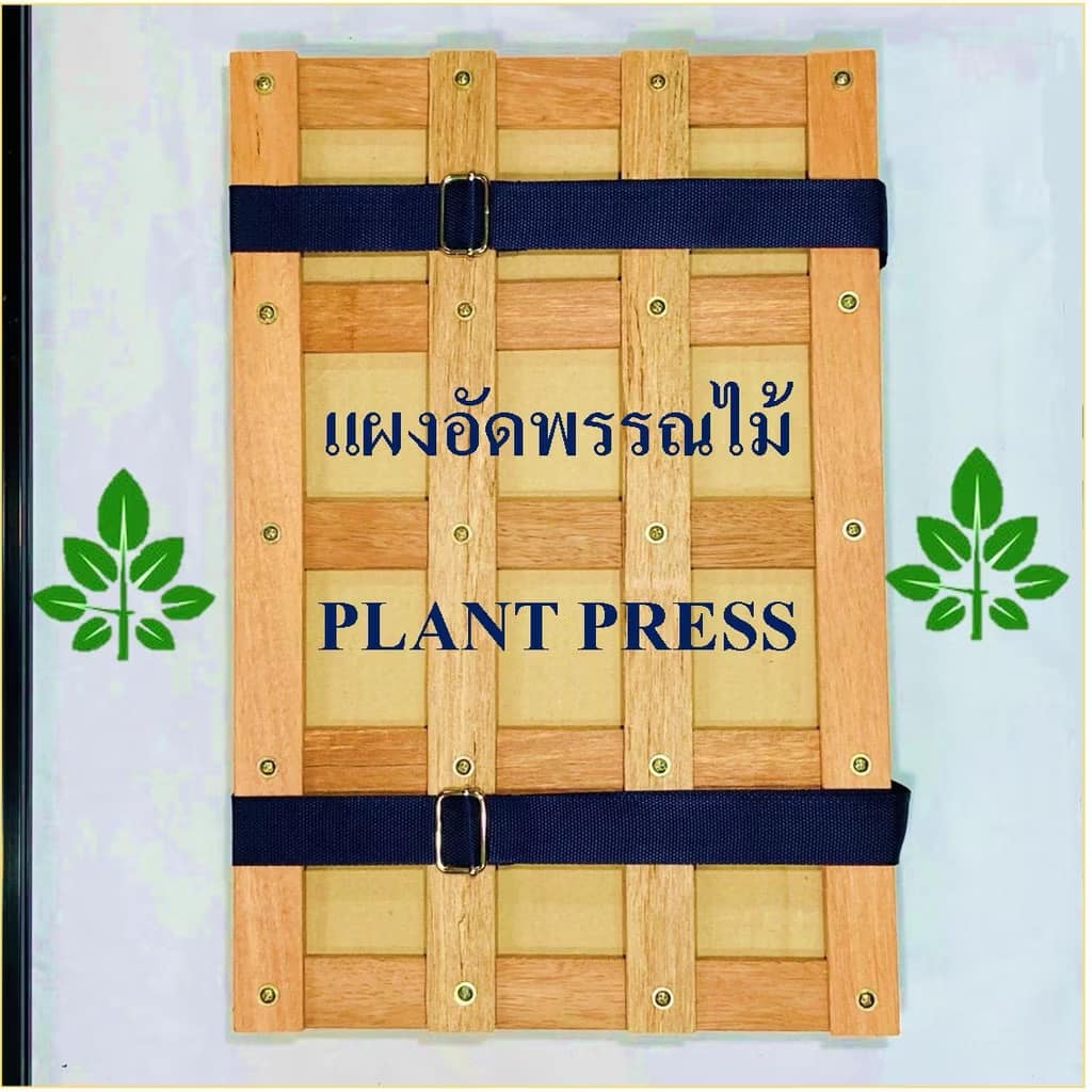 แผงอัดพรรณไม้ Plant Press