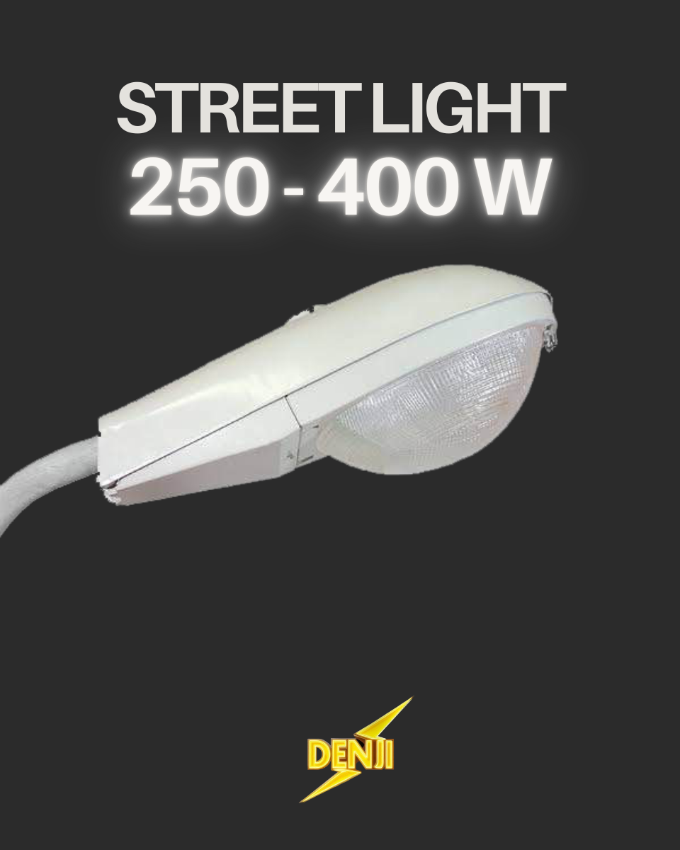 โคมไฟหลังเต่า Street light 250-400 W (ติดต่อผู้ขาย)