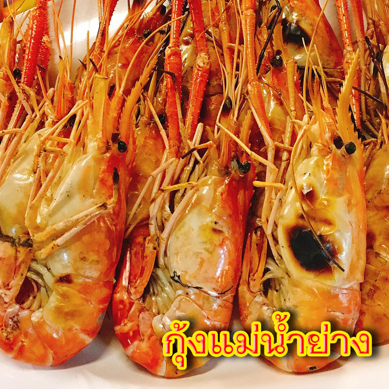 กุ้งแม่น้ำย่าง