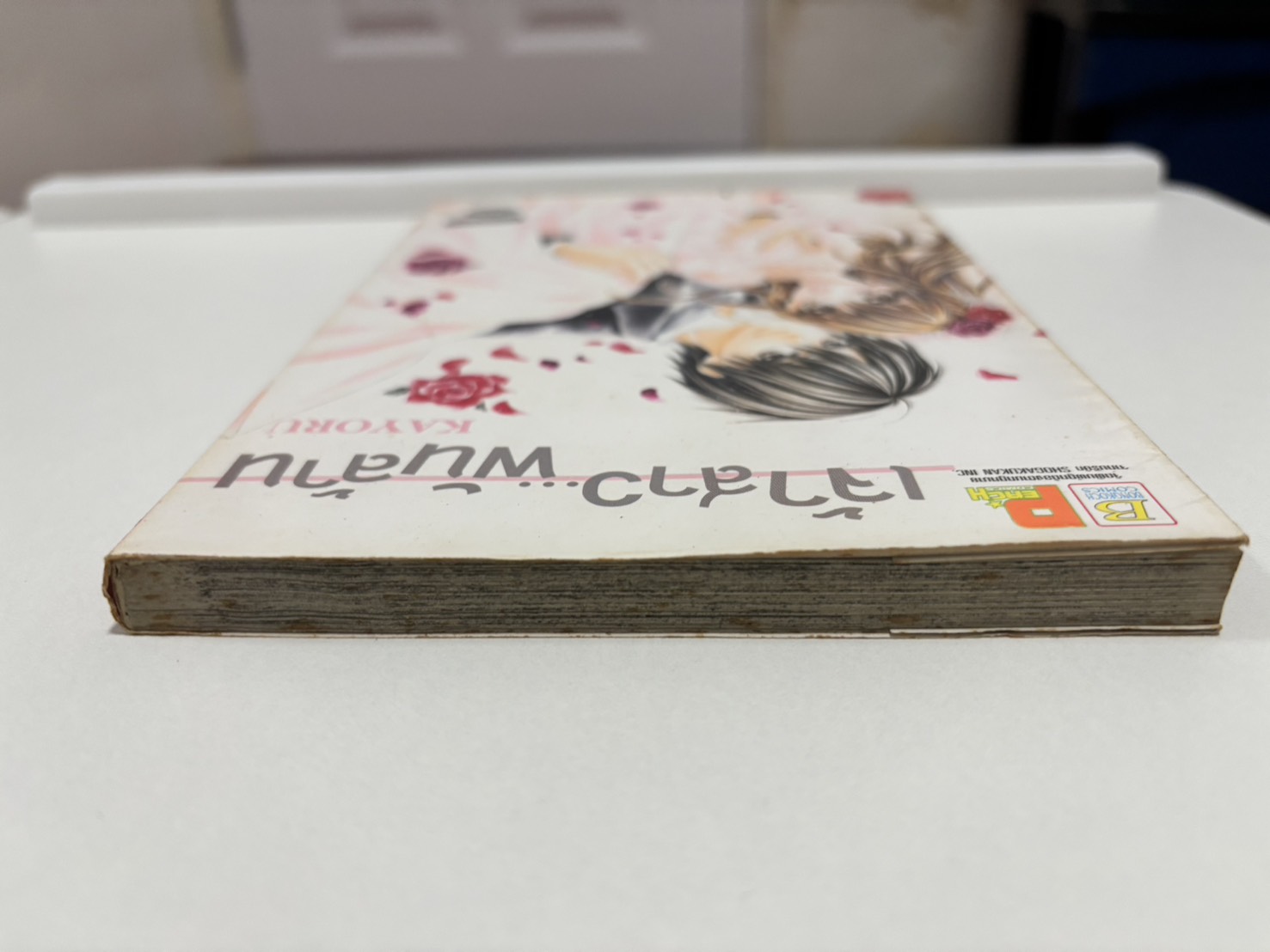 เจ้าสาว...พันล้าน (เล่มเดียวจบ)