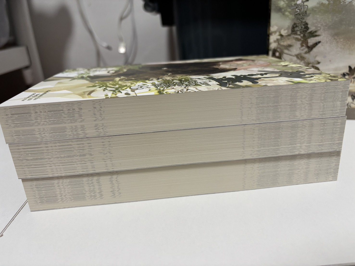 รักนิรันดร์ของนายท่านแมว [3 เล่มจบ] Box