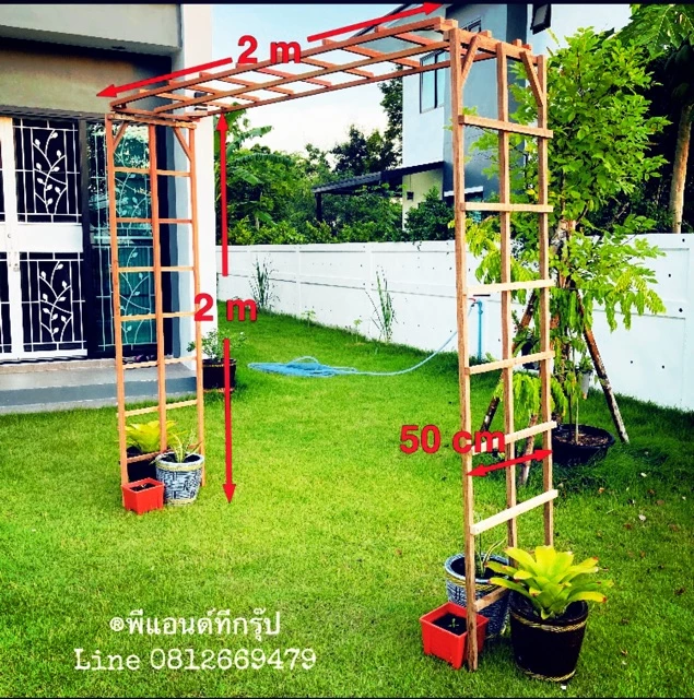 อุโมงค์ไม้เลื้อย ซุ้มไม้เลื้อย สูง 2 เมตร พร้อมชุดค้ำยัน ตั้งได้ ไม้จริงทั้งหมด