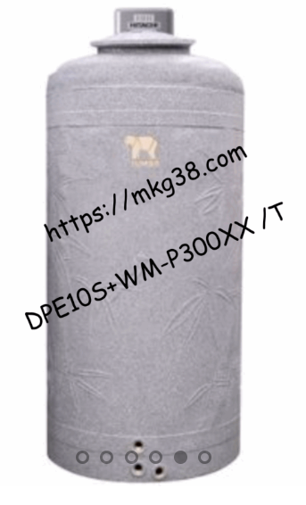 (DUO PACK) ถังคู่ปั๊ม รุ่น DPE10S+WM-P300XX