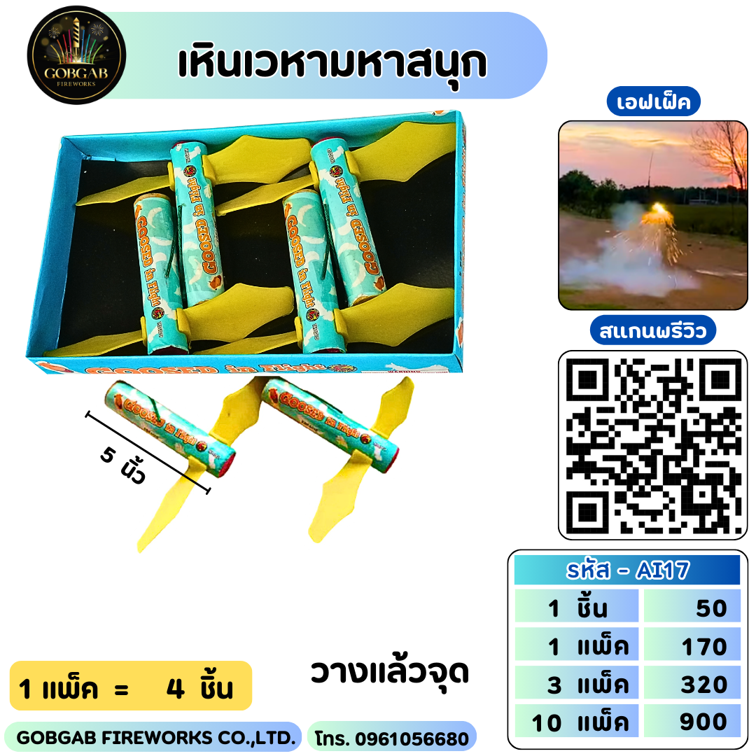 เหินเวหามหาสนุก