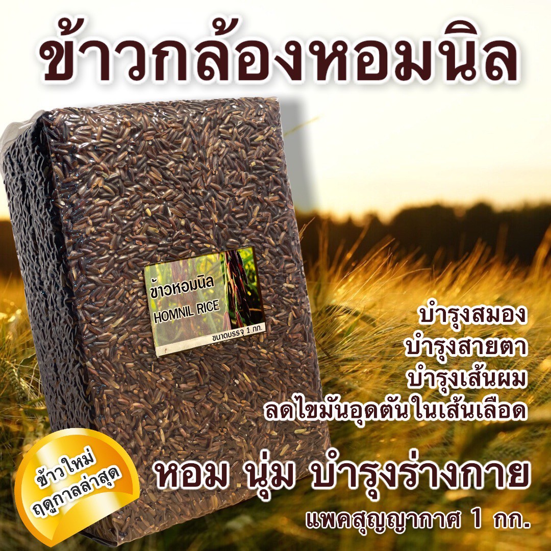ข้าวกล้องหอมนิล – บำรุงสมอง บำรุงสายตา บำรุงเส้นผม ลดไขมันอุดตันในเส้นเลือด