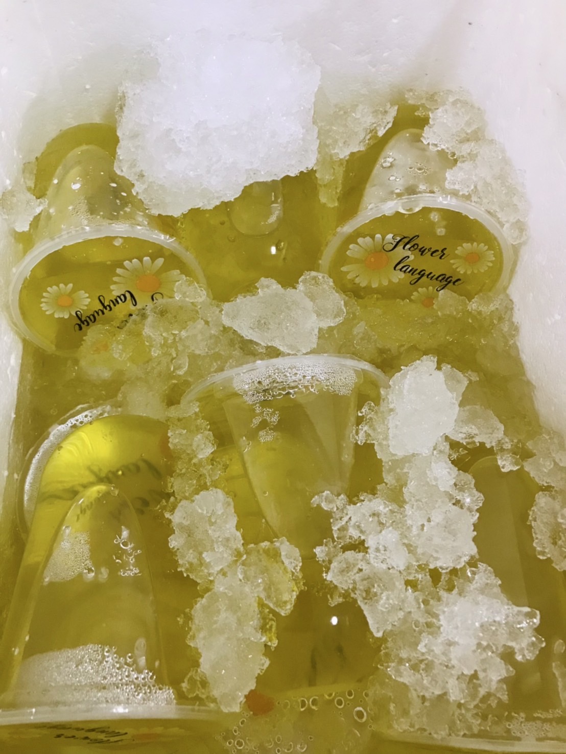 น้ำวุ้นเก๊กฮวย ขนาด 12 ออนซ์ และ 16 ออนซ์ (ไม่มีขั้นต่ำในการสั่ง)