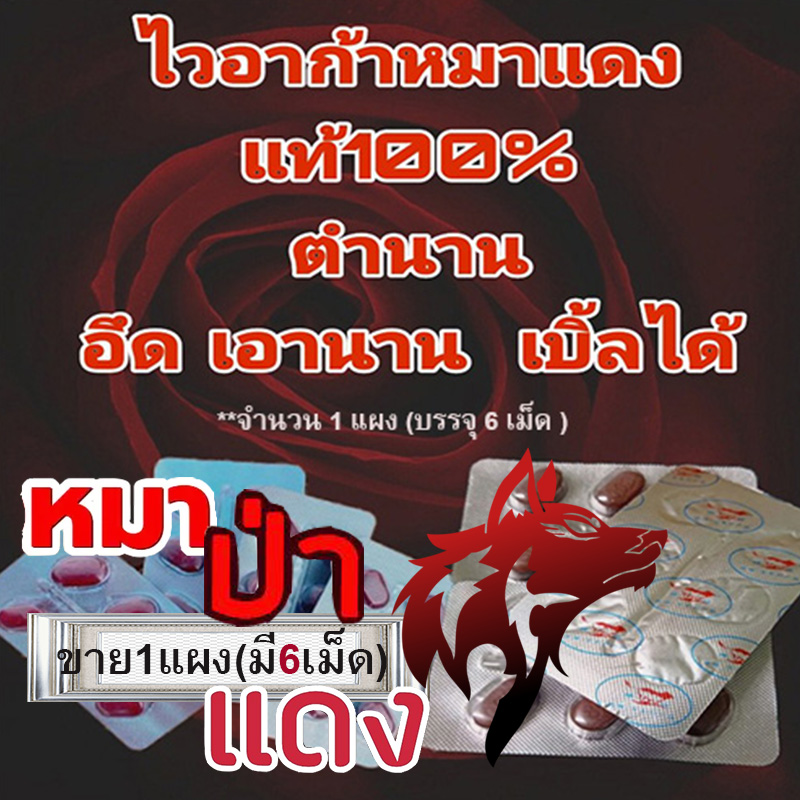 หมาแดงRed WOLF 800🦊60+แข็งจัด เอามันส์ยันแจ้ง🦊ของแท้พร้อมจัดส่งมีเก็บปลายทาง💵💲💸ขาย1แผง(มี6เม็ด)❌ไม่มีกล่อง-ไม่ระบุชื่อ🦊สนใจสอบถาม แอดไลน์ 9898red