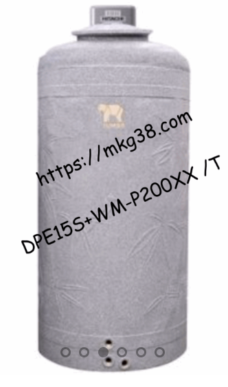 (DUO PACK) ถังคู่ปั๊ม รุ่น DPE15S+WM-P200XX
