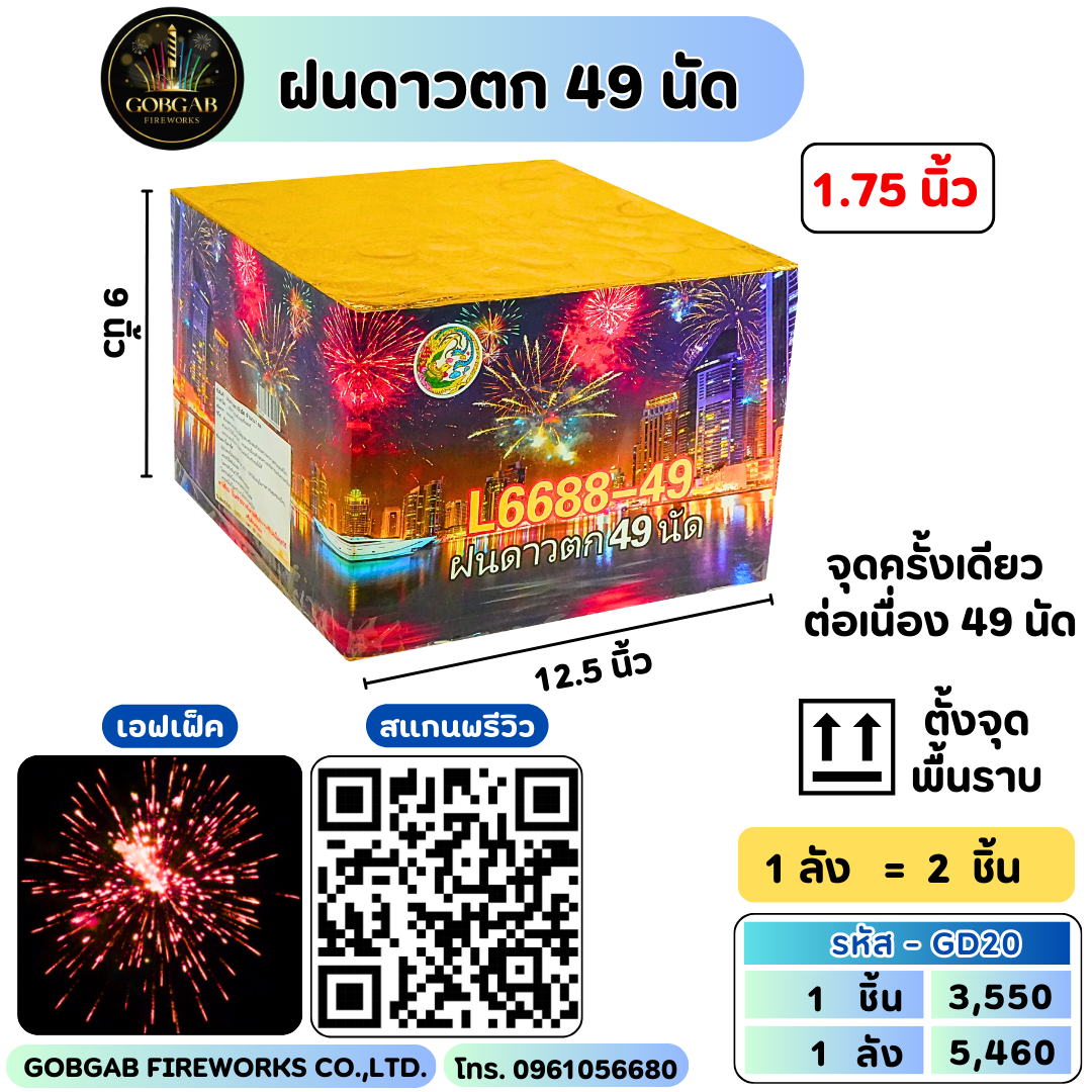 ฝนดาวตก 49 นัด