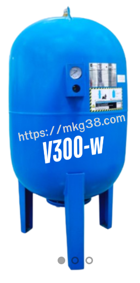 ถังแรงดัน ไดอะแฟรม BAUMAN รุ่น V300-W