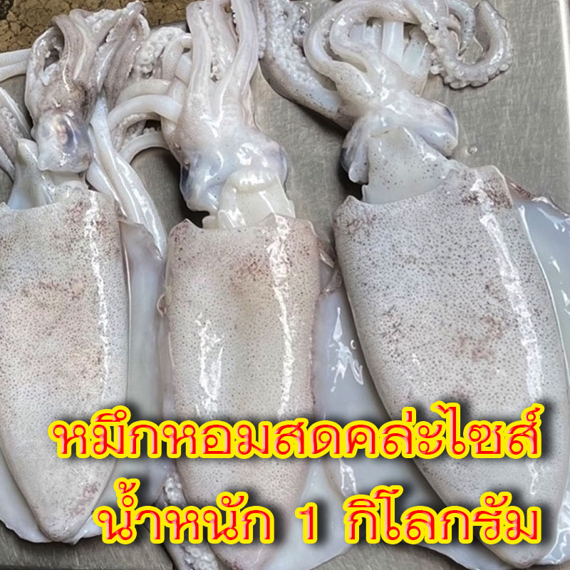 หมึกหอมสดคล่ะไซส์