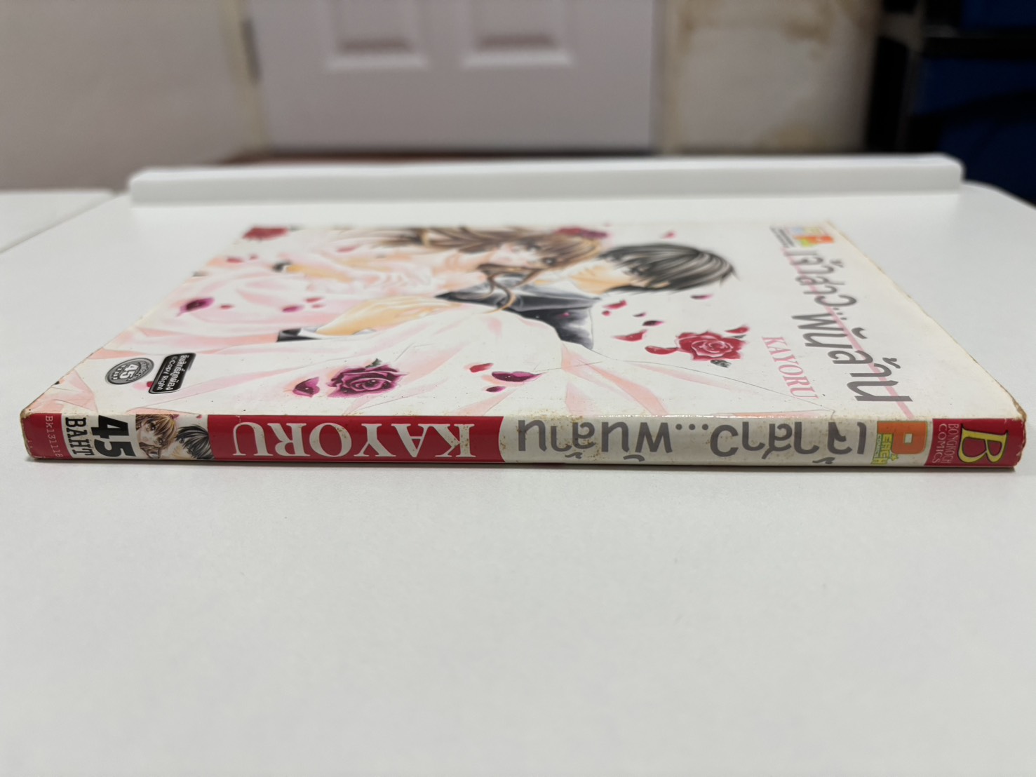 เจ้าสาว...พันล้าน (เล่มเดียวจบ)