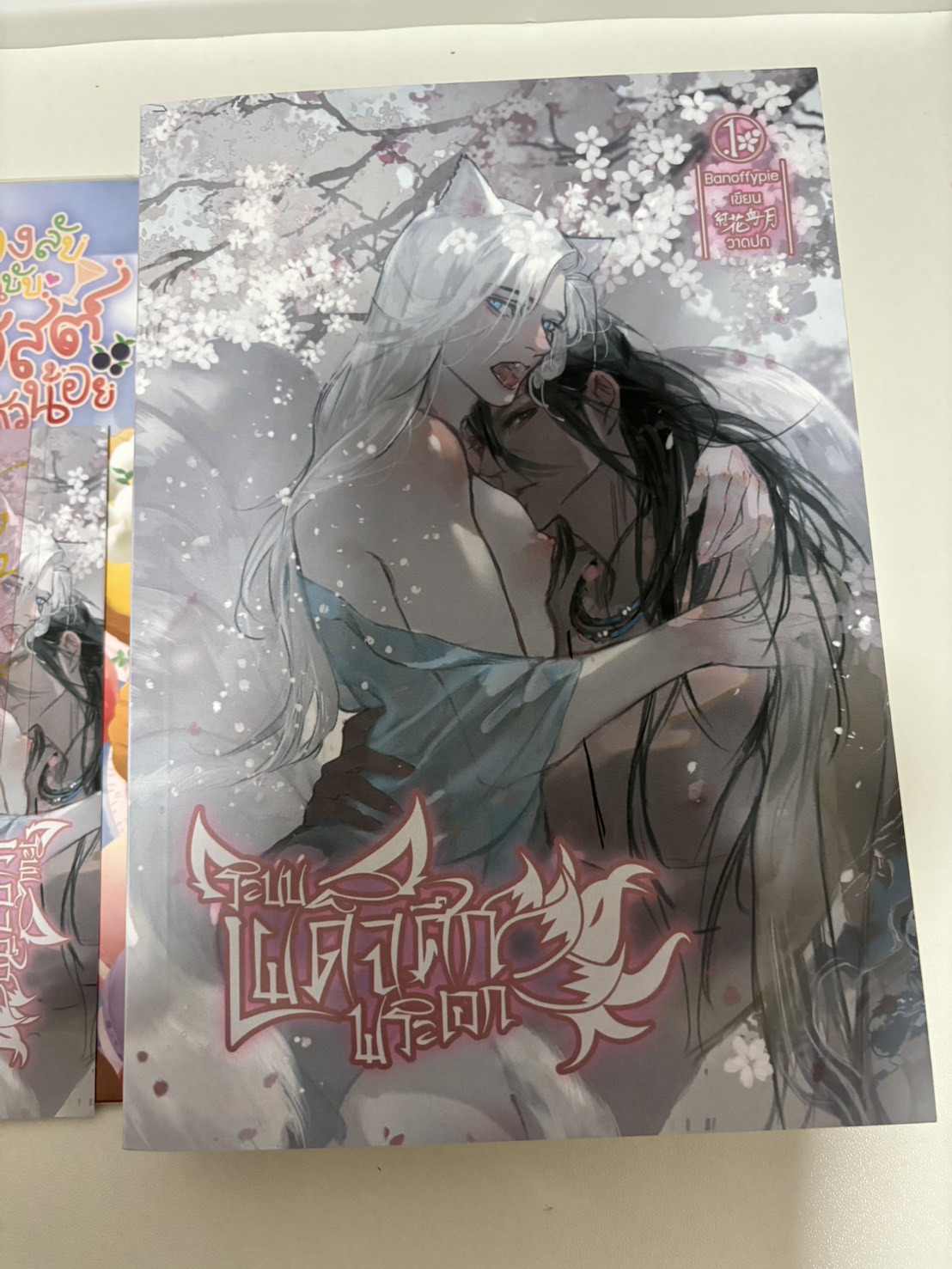 ระบบเผด็จศึกพระเอก เล่ม 1