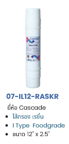 ไส้กรอง Resin Inline