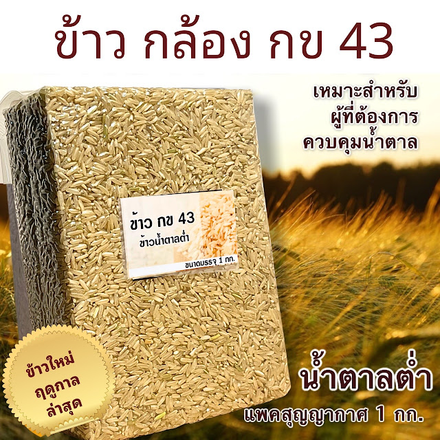 ข้าวกล้อง กข43 : เหมาะสำหรับผู้ที่ต้องการควบคุมน้ำตาล