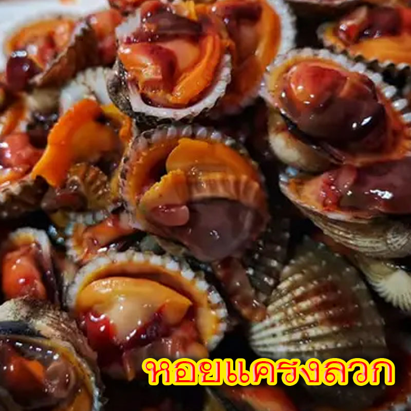 หอยแครงลวก