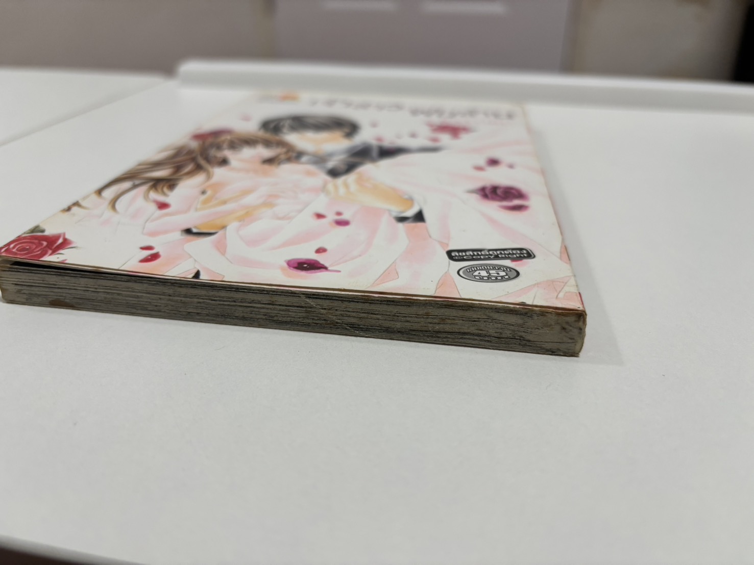 เจ้าสาว...พันล้าน (เล่มเดียวจบ)