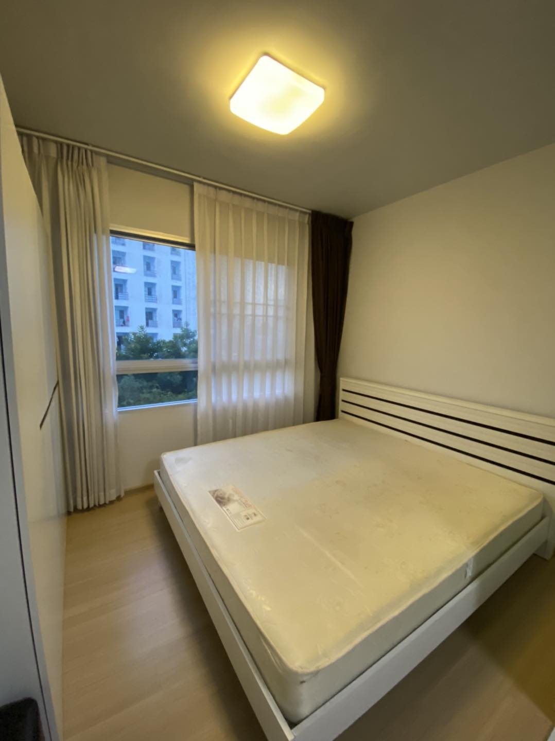 พลัมคอนโด สามัคคี - PLUM CONDO SAMAKKHI (มีผู้เช่า 5,500฿)