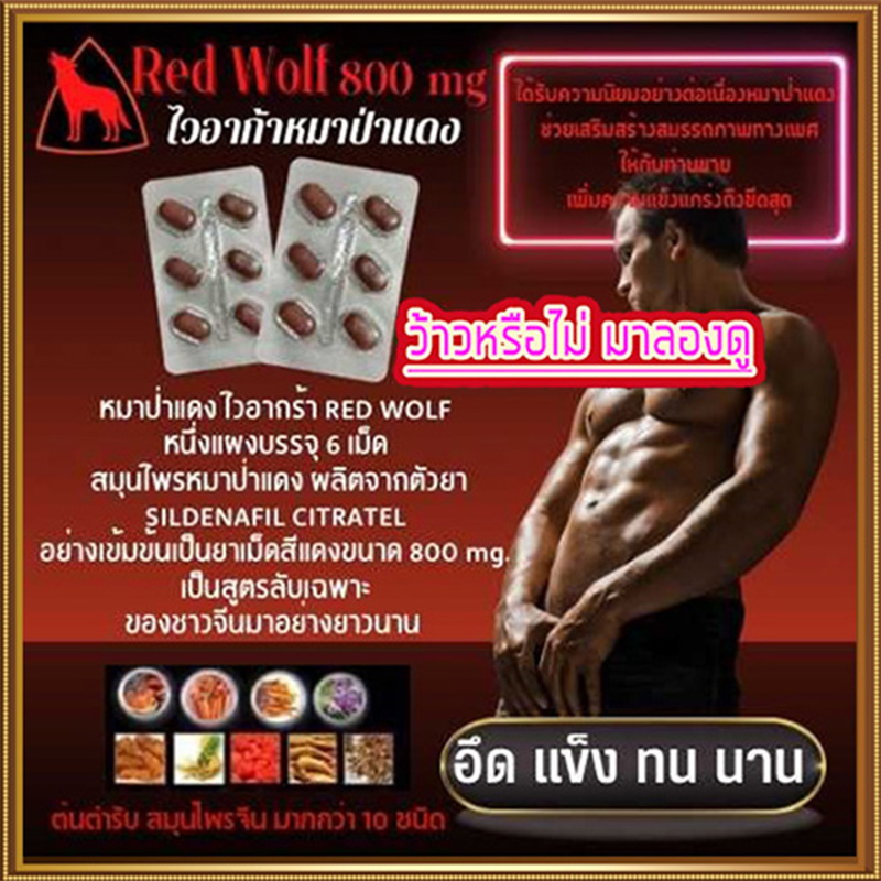หมาแดงRed WOLF 800🦊60+แข็งจัด เอามันส์ยันแจ้ง🦊ของแท้พร้อมจัดส่งมีเก็บปลายทาง💵💲💸ขาย1แผง(มี6เม็ด)❌ไม่มีกล่อง-ไม่ระบุชื่อ🦊สนใจสอบถาม แอดไลน์ 9898red