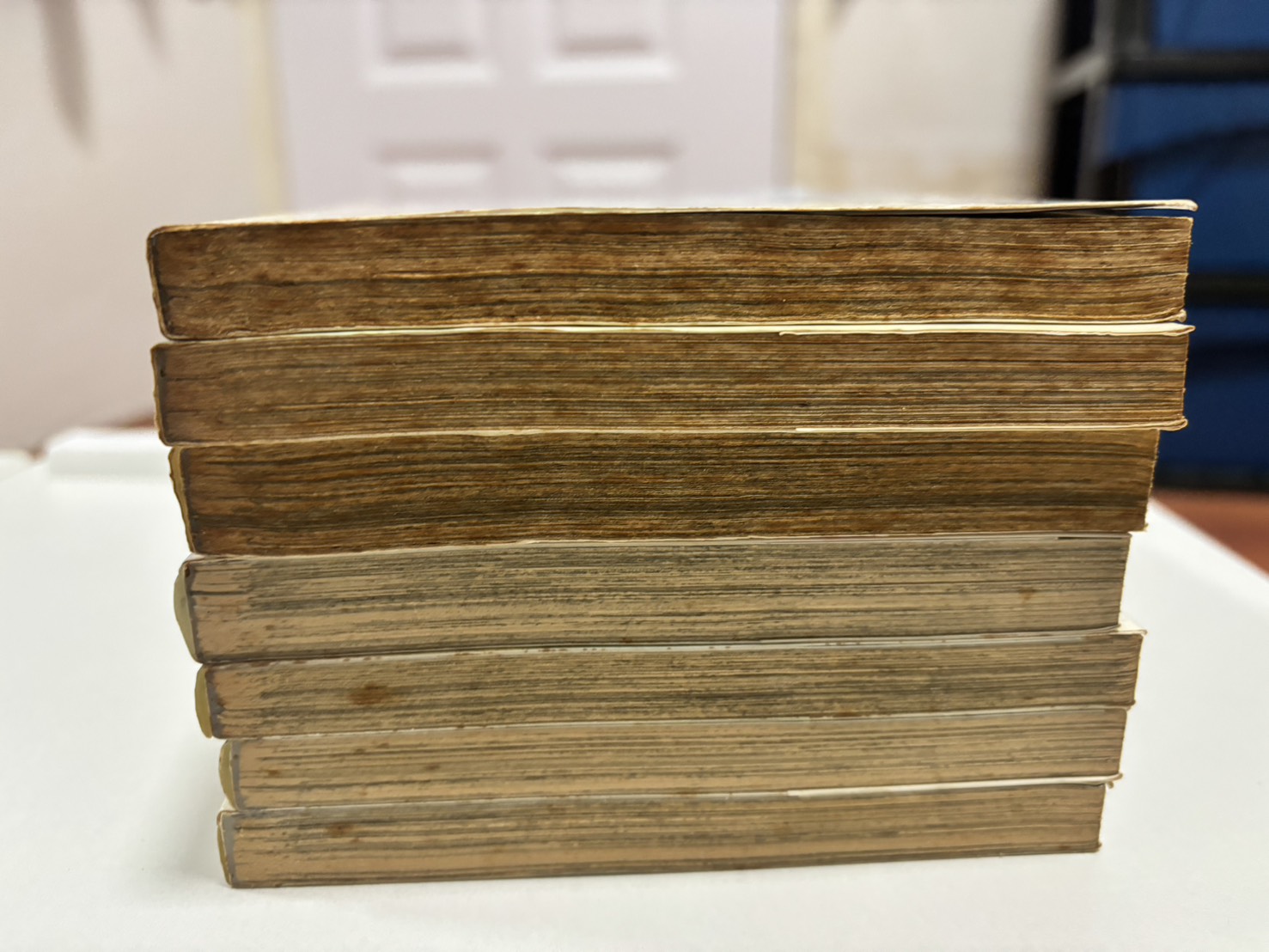 สาววรรณกรรมกับวิญญาณผู้หิวโหย และ สาววรรณกรรมกับปริศนาตัวตลกผู้สิ้นหวัง