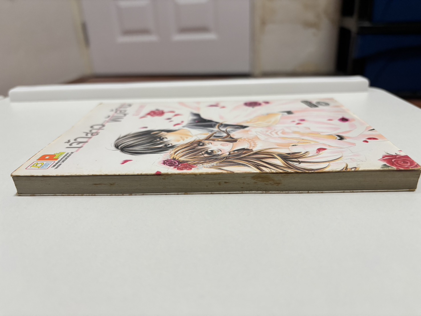 เจ้าสาว...พันล้าน (เล่มเดียวจบ)