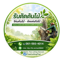 รับตัดต้นไม้ รับโค่นต้นไม้