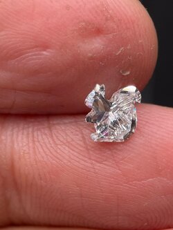 เพชรสังเคราะห์รูปกะรอกอะตอมเพชรแท้