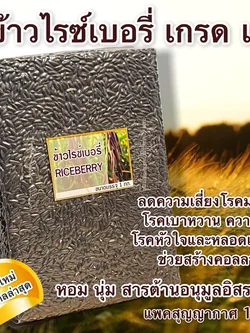 ข้าวไรซ์เบอร์รี่ เกรด เอ - ลดความเสี่ยงโรคมะเร็ง โรคเบาหวาน ความดัน โรคหัวใจและหลอดเลือด ช่วยสร้างคอลลาเจน