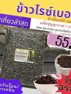 ข้าวไรซ์เบอรี่ นาปรัง สีไม่เข้ม แต่หอมนุ่ม เกรดครัวเรือน/อาหารคลีน
