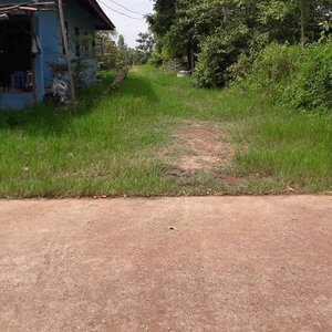 ขายที่ดินพื้นที่3ไร่ที่ดินสวยราคาถูกใกล้หมู่บ้านจัดสรรห่างจากถนนใหญ่มิตรภาพ 2.1กม.บรรยากาศดีเดินทางสะดวก