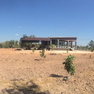 ขายที่ดินห่างจากปั้ม PT 900 เมตรใกล้ที่ว่าการอำเภอเมืองชัยภูมิ 4.6 กม.โรบินสันชัยภูมิ4.8กมเหมาะแก่การลงทุน"""เนื้อที่"" 5 ไร่