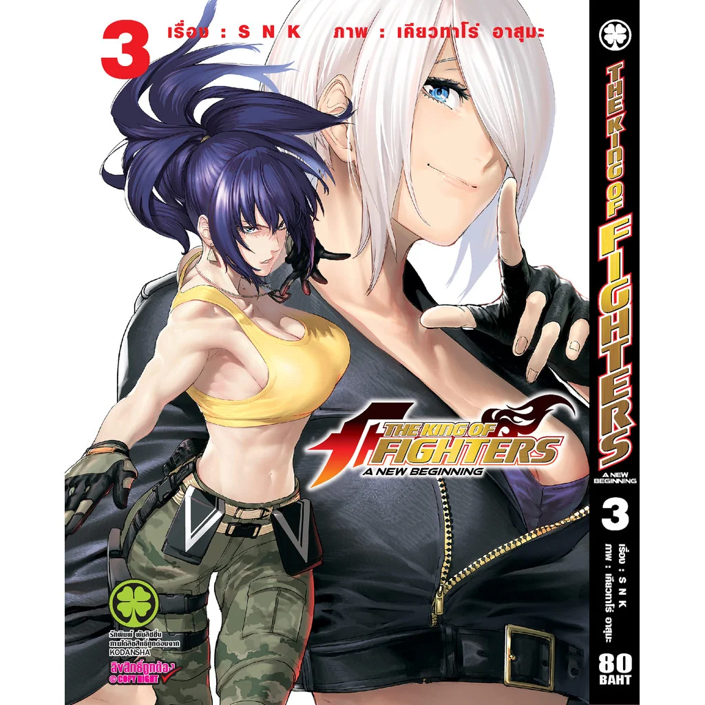 The King of Fighters: A New Beginning 3