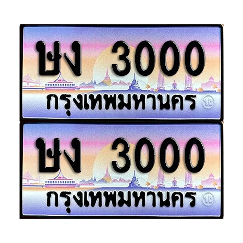ทะเบียน 3000 เลขหลักพัน - ษง 3000 ผลรวมดี 9 (6)