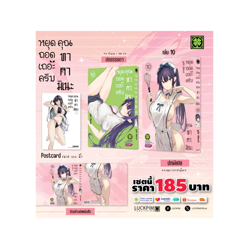 【เซตพิเศษ】หยุดถอดเถอะครับ คุณทาคามิเนะ เล่ม 10 [ปกพิเศษ+โปสการ์ด]