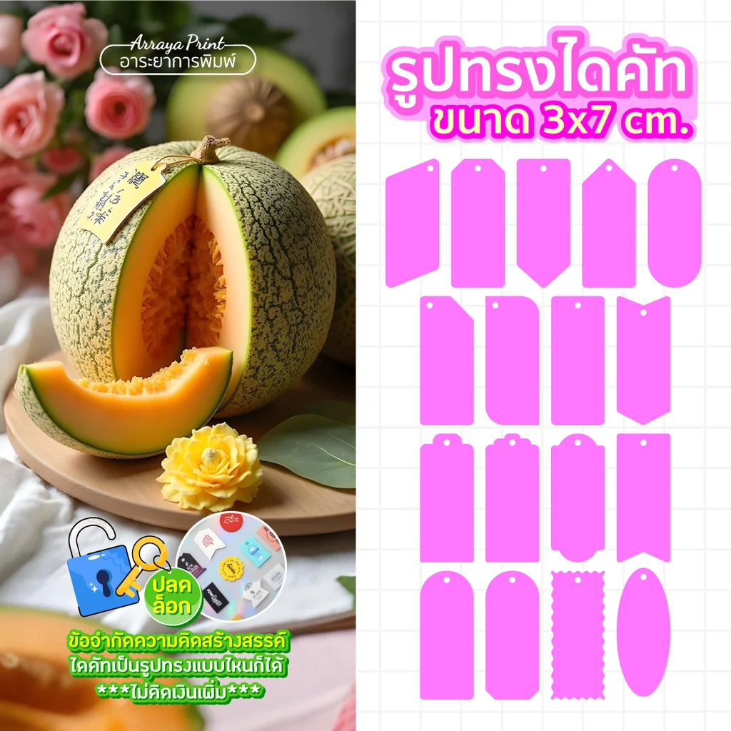 ป้ายแท็กผลไม้ 3x7 cm. ป้ายห้อยเมล่อน สินค้าเกษตรพรีเมียม ของขวัญเยี่ยมผู้ใหญ่ พิมพ์ชื่อฟาร์มได้ อาระยาการพิมพ์