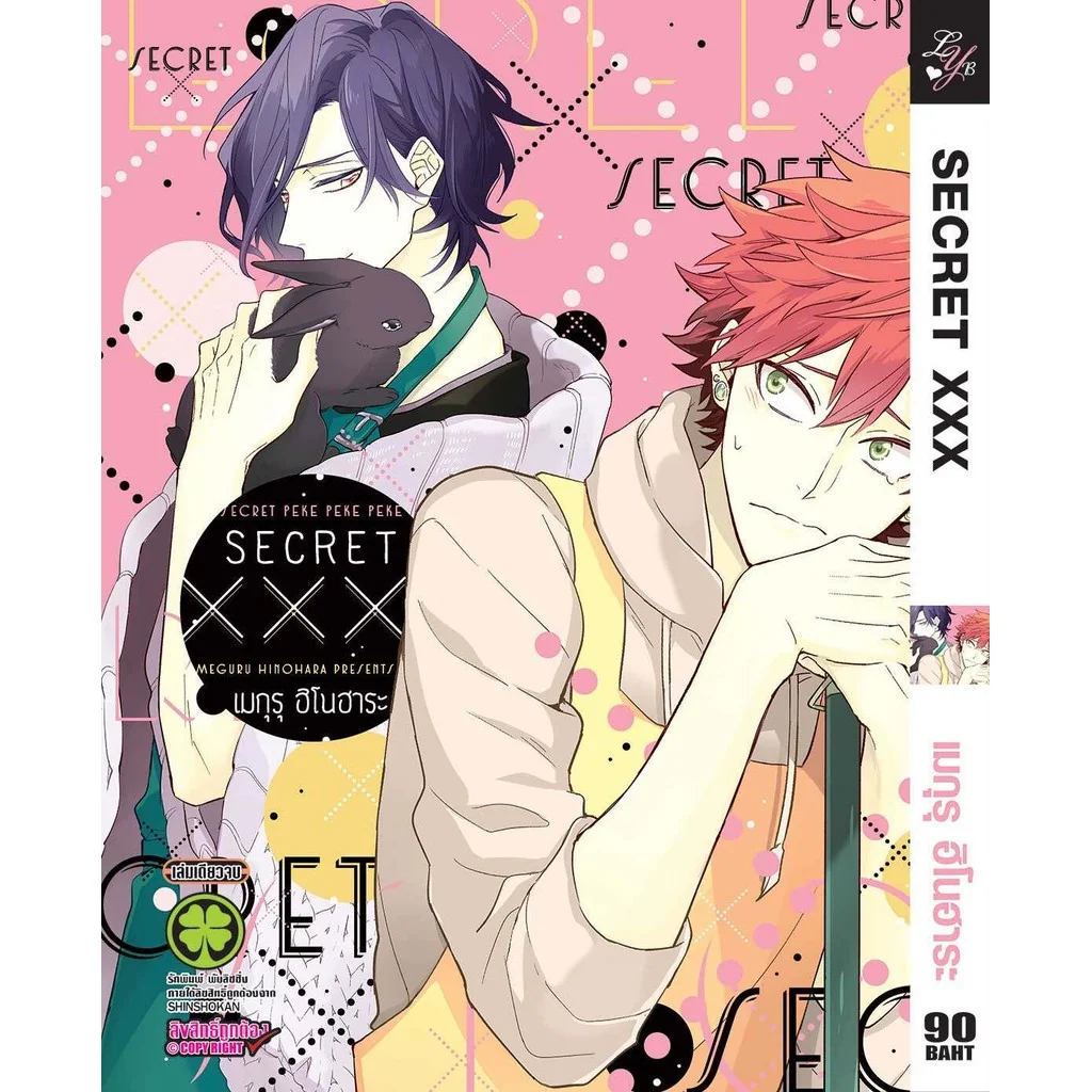 [BL] SECRET XXX (เล่มเดียวจบ)