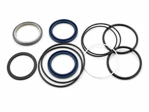CYLINDER SEAL KITS
