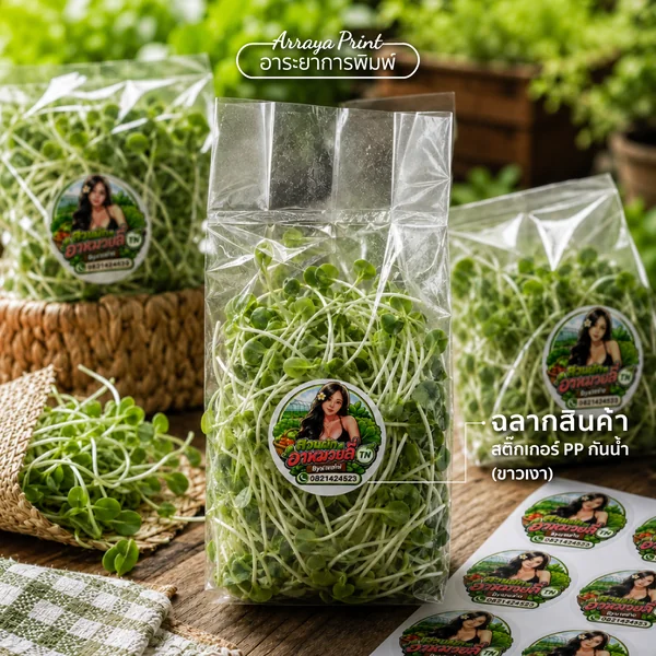 ผลงานสติ๊กเกอร์ PP กันน้ำ ฉลากสินค้าติดถุงผักสด อาหมวย ผลงานสติ๊กเกอร์ PP กันน้ำ ฉลากสินค้าติดถุงผักสด อาหมวย