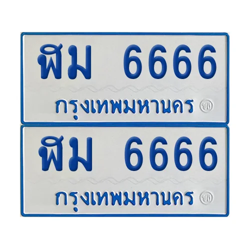 ทะเบียนรถตู้ 6666 ป้ายฟ้าขาว ฬม 6666 (เลขมงคล) image 1